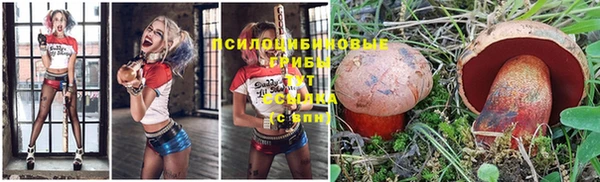гидра Балабаново