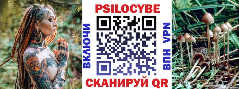 МЕГА ссылка купить наркотик Ленск Галлюциногенные грибы Magic Shrooms